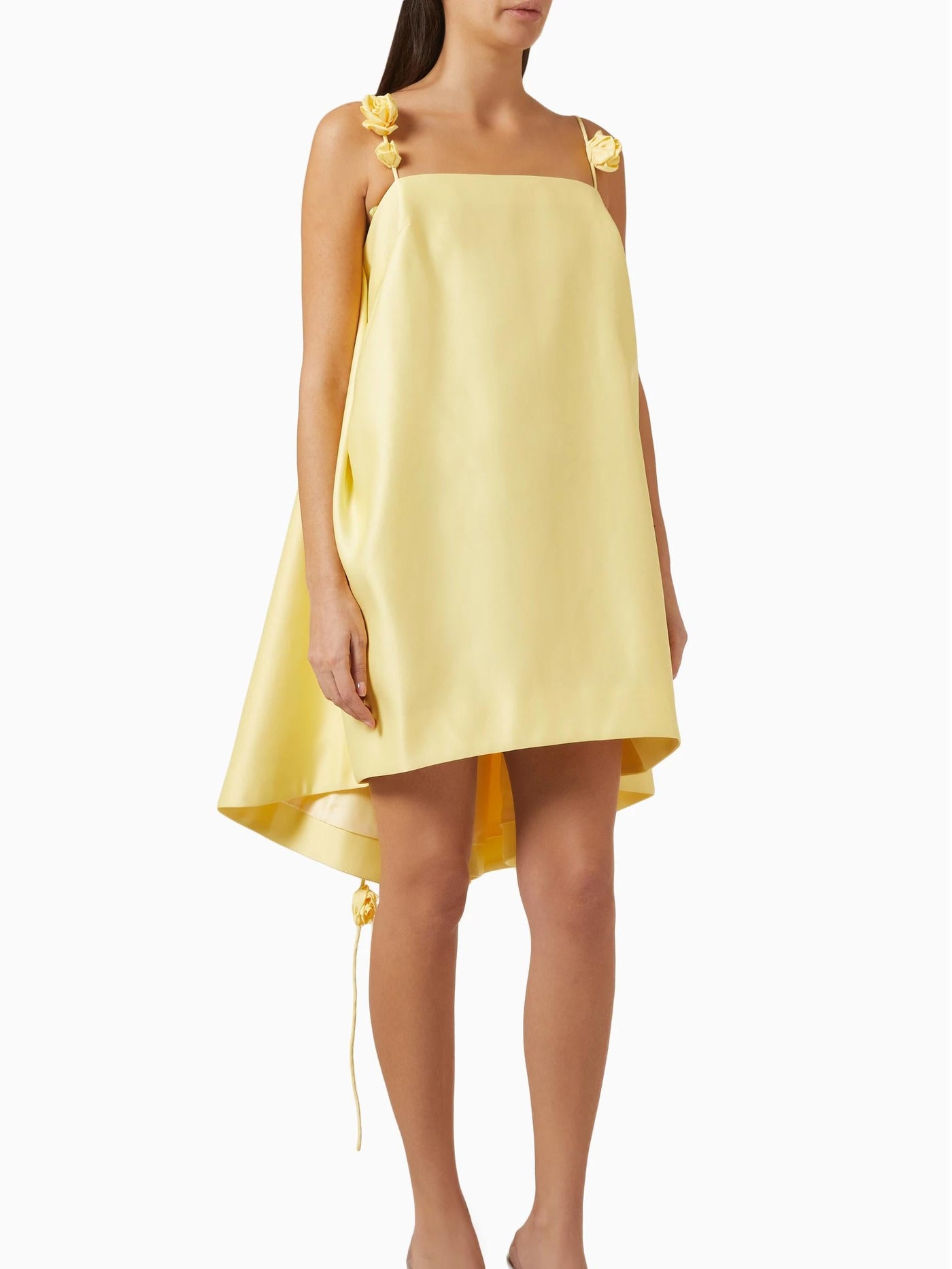 Elavine™ Roselle Mini Dress